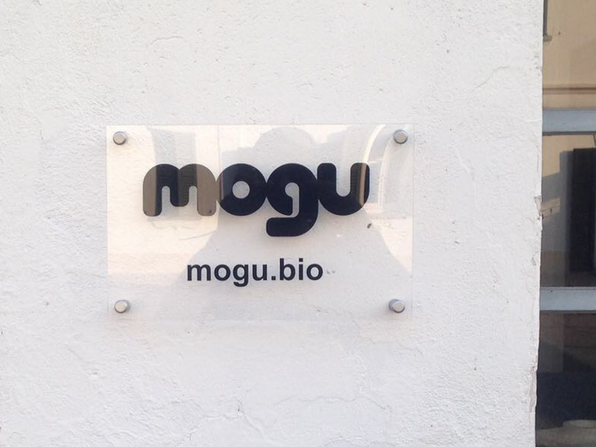 WELCOME to MOGU S.r.l.