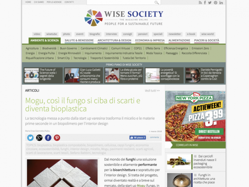 Wise Society – press article