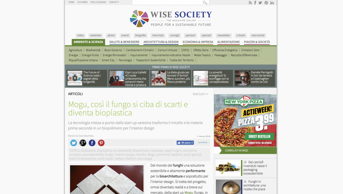Wise Society – press article