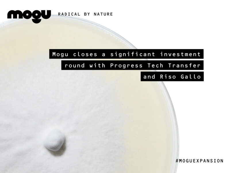 INVESTMENT ROUND // PRESS RELEASE – Mogu closes investment round of € 1.1 million