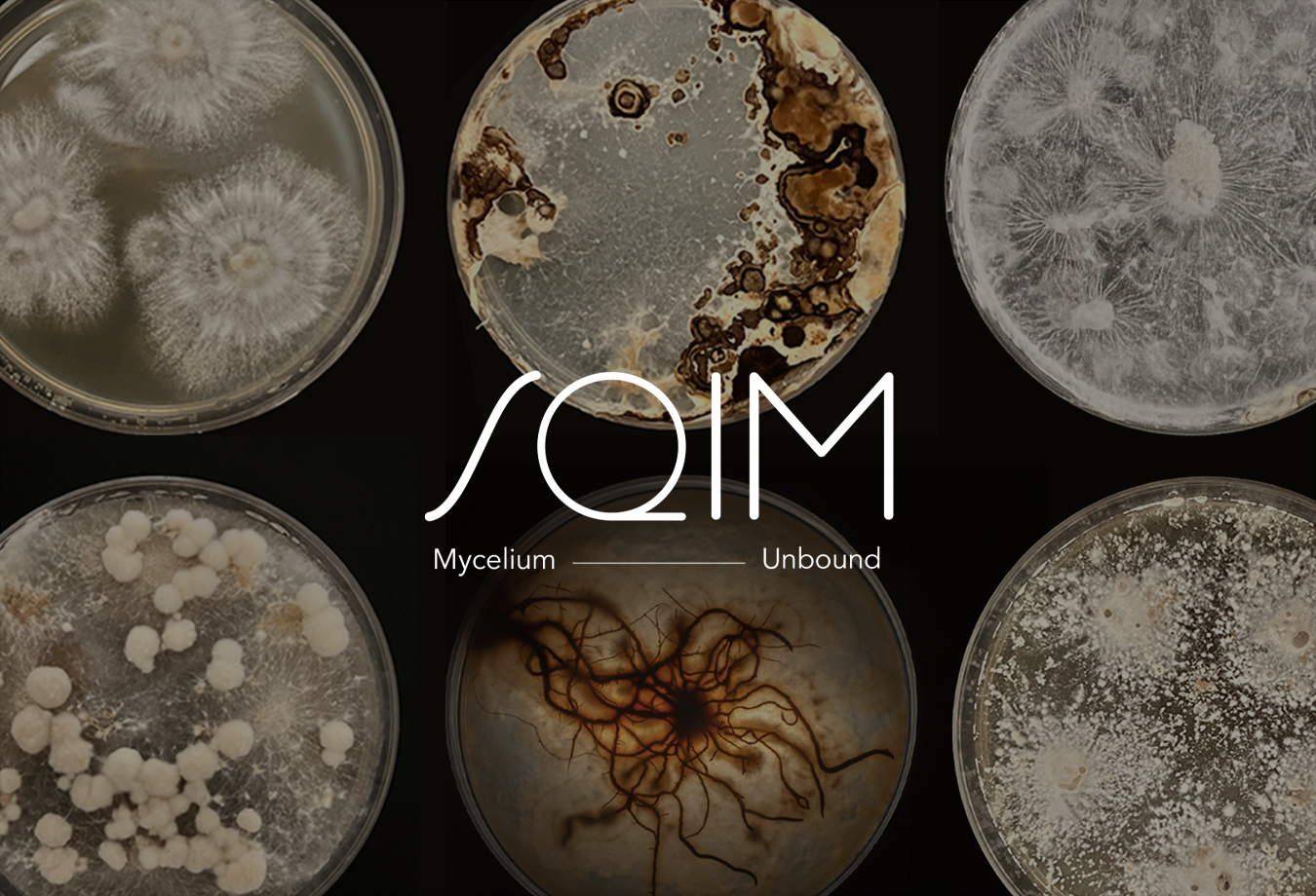 PRESS RELEASE: SQIM SECURES € 11 MILLION IN SERIES A FUNDING FOR INDUSTRIALIZATION OF MYCELIUM-BASED TECHNOLOGIES