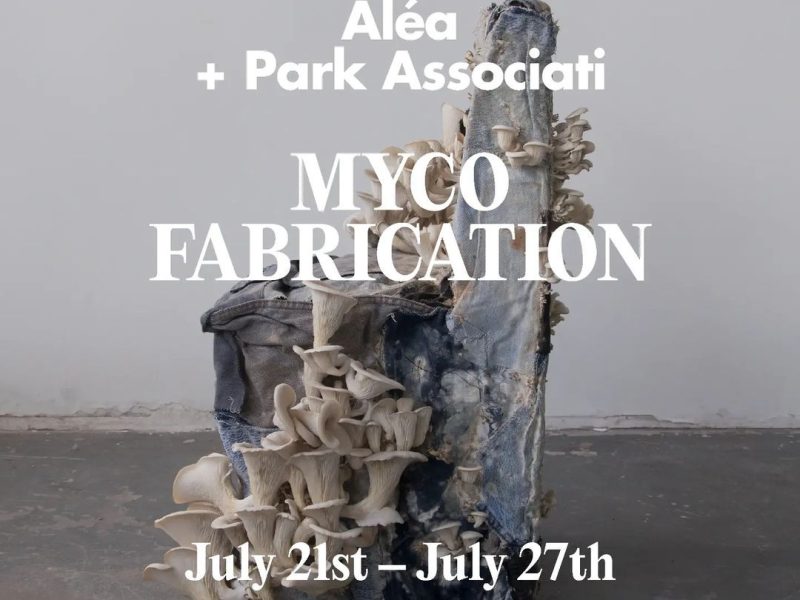 DISCOVER THE MAGIC OF MYCO-FABRICATION: WORKSHOP BY DOMAINE DE BOISBUCHET, ALÉA & PARK ASSOCIATI