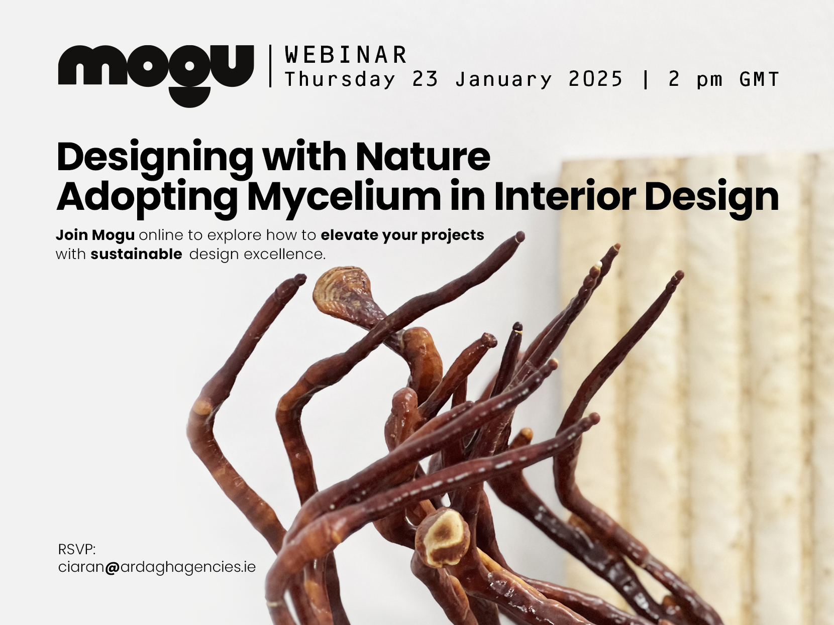 Discover How to Elevate Interior Design with Mycelium – Join Our Free Webinar!